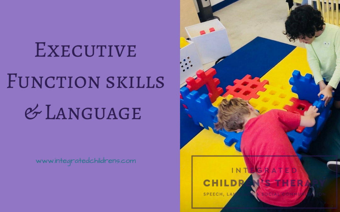 Executive Function Skills & Language